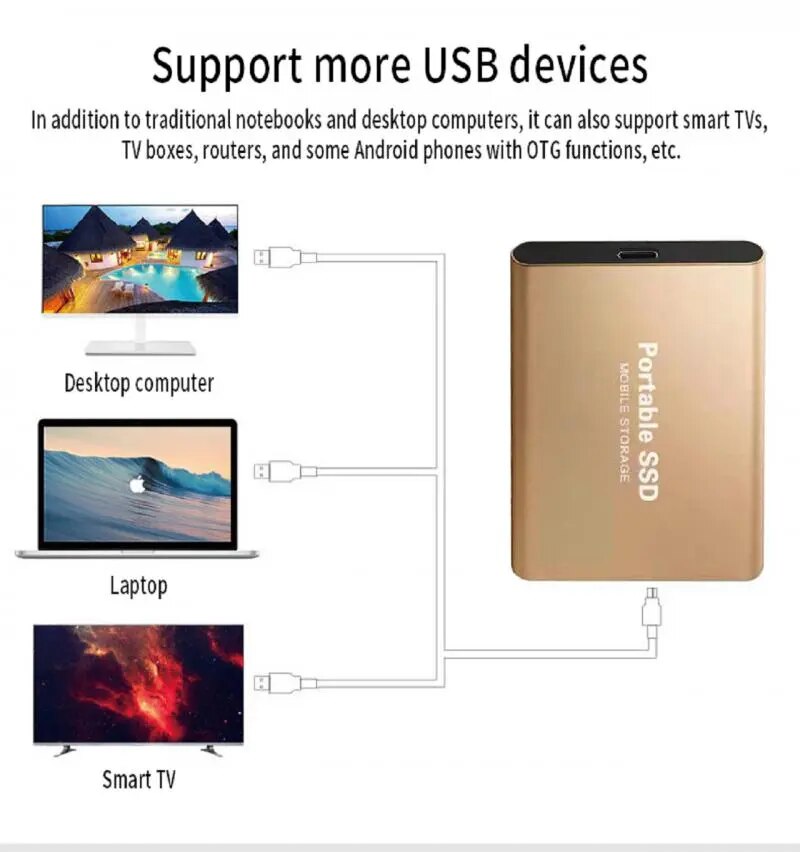 Portable USB 3.1 High-speed Solid State Drive (Type-C) for Laptops/ Notebook